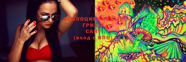 эйфоретик Алексеевка