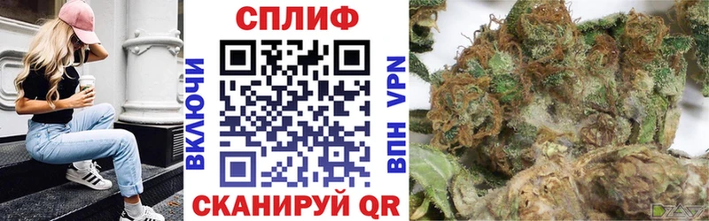 наркотики  Юхнов  Бошки Шишки конопля 